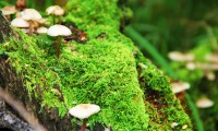 上海体育消费季：今日首发式上，上海市体育局局长亲自体验了最新的 AI 健身镜。