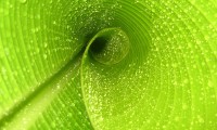 世界拳击职业联赛赛季门票价格分级优化公布，最新世界拳击比赛